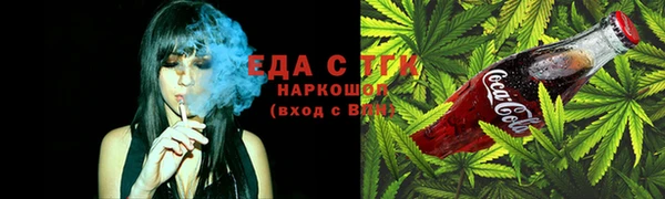 МДПВ Ельня