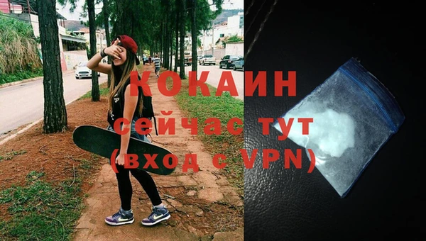 МДПВ Ельня