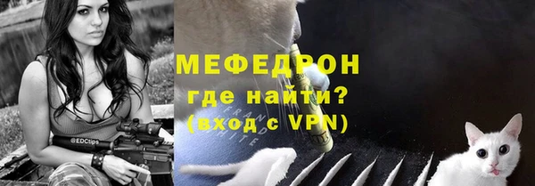 МДПВ Ельня