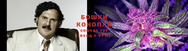 МДПВ Ельня