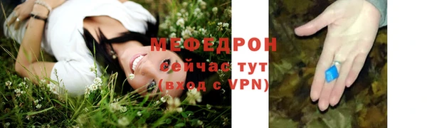 МДПВ Ельня