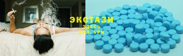 МДПВ Ельня