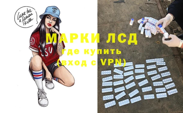 МДПВ Ельня