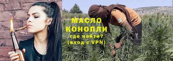 МДПВ Ельня