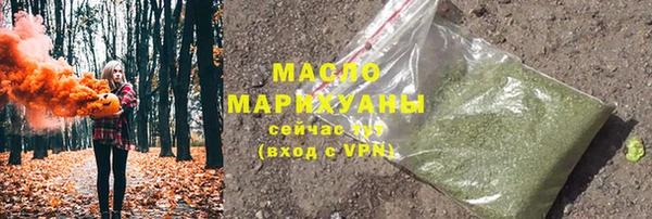 МДПВ Ельня