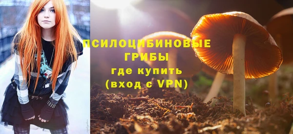 МДМА Елизово