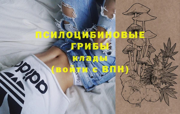 МДМА Елизово