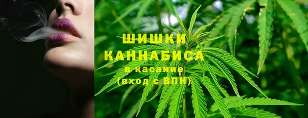 МДПВ Ельня