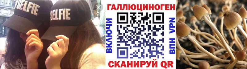 Псилоцибиновые грибы прущие грибы  закладки  Ливны 